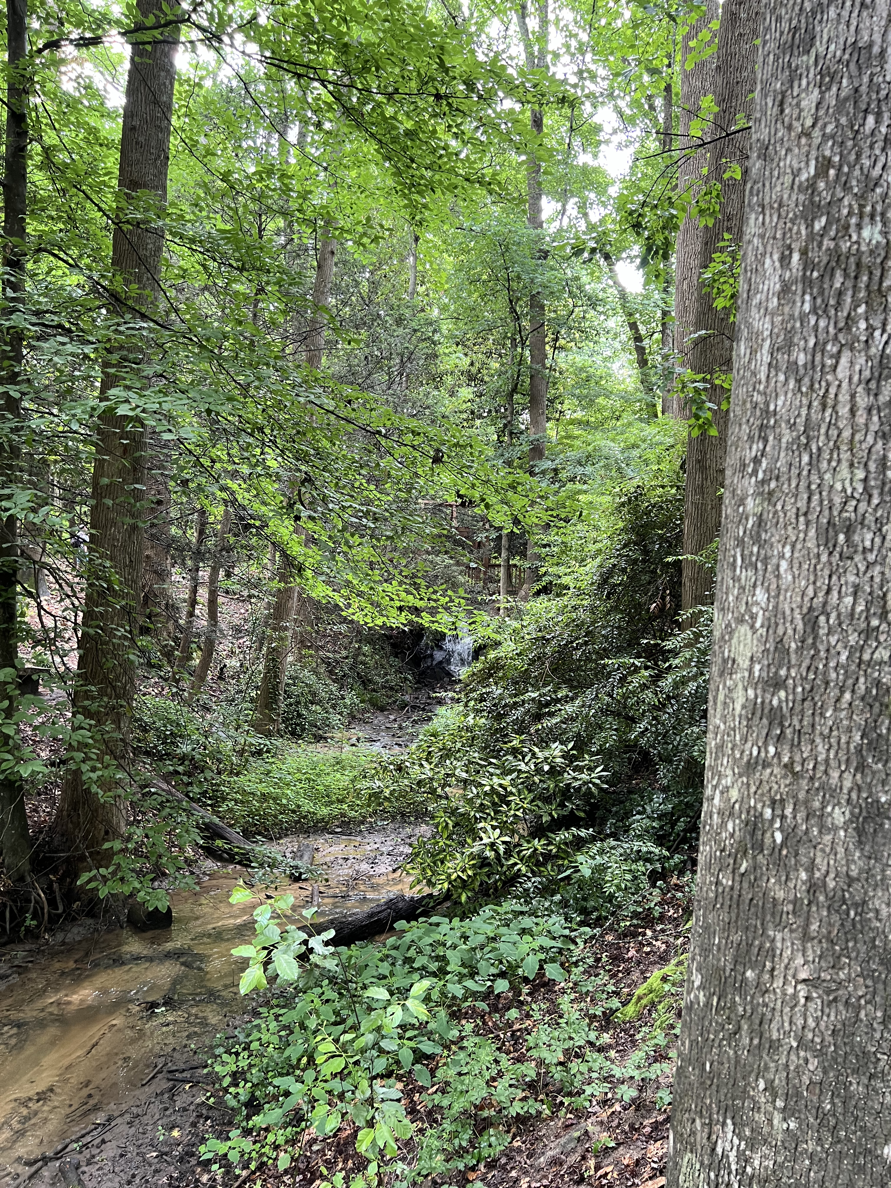 ./2024/07 - Gaffney/IMG_1507.jpg